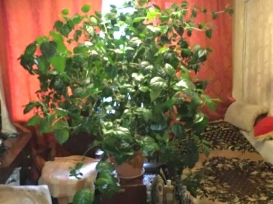 Комната в общежитие на Косвенной, 330651 Одесса