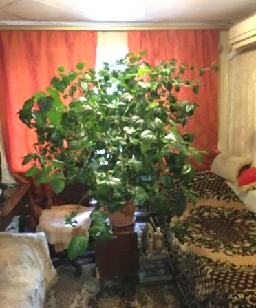 Комната в общежитие на Косвенной, 330651 - фото 1