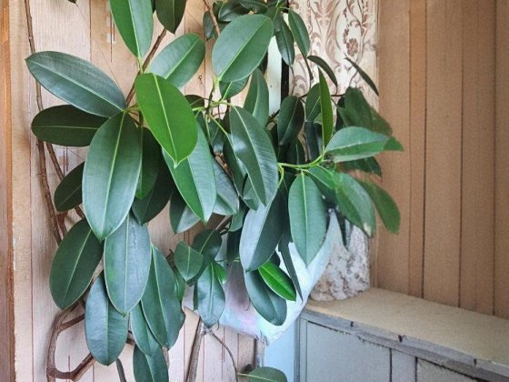 Однокімнатна квартира під РЕМОНТ!!!