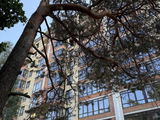 Двокімнатна квартира в ЖК Лісовий , всі вікна на ліс Чернигов