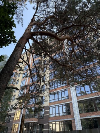 Двокімнатна квартира в ЖК Лісовий , всі вікна на ліс - фото 1