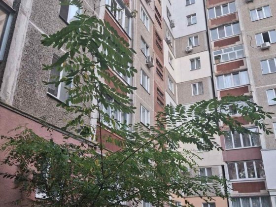 АВТОНОМКА! Сертифікат! 3-х кімнатна квартира Голлівуд Чернигов