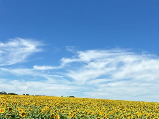 Продам два місця під гараж АГК Зоряний(пров. Дачний) Фастів