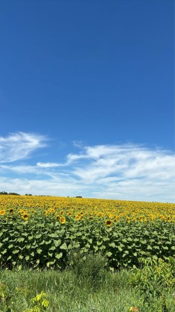Продам два місця під гараж АГК Зоряний(пров. Дачний) - фото 1