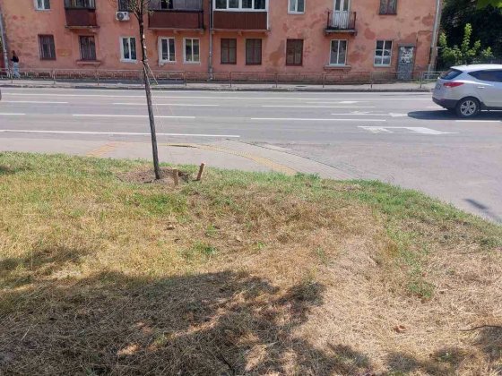 3 кімн. квартира , 1 поверх під бізнес або житло Чернігів