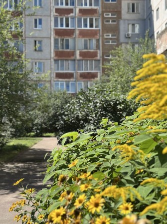 Трехкомнатная квартира. Гончая, 84. Центр. - фото 1