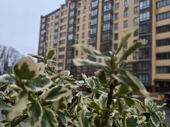 Масани | Лісовий-2 |Топ ціна | 70м² | 3 поверх | Неймоівне планування Чернигов