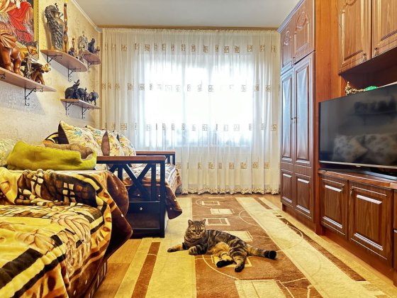 Продам 1 комн кв Подусовка, серии ЧН. Чернигов