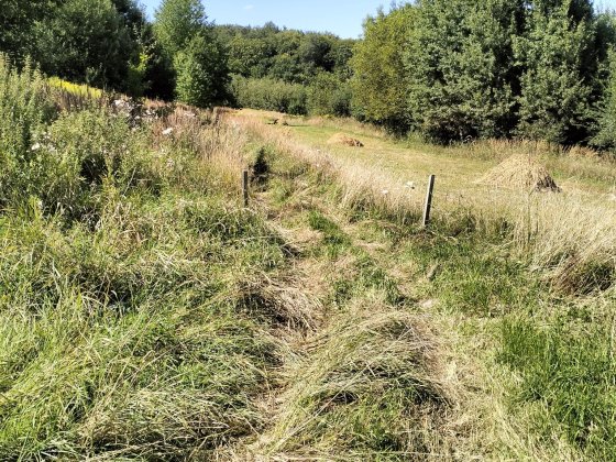 Продаж Гараж. Вул. Піскова Личаківський район Парк Знесіння Львов