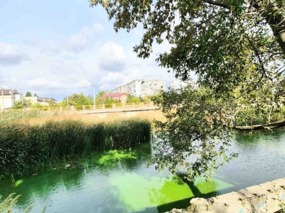 Продам ексклюзивну однокімнатну квартиру в центрі міста. Кропивницкий