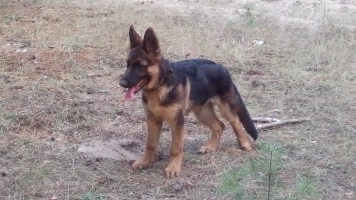 капитальный гараж аренда - фото 1