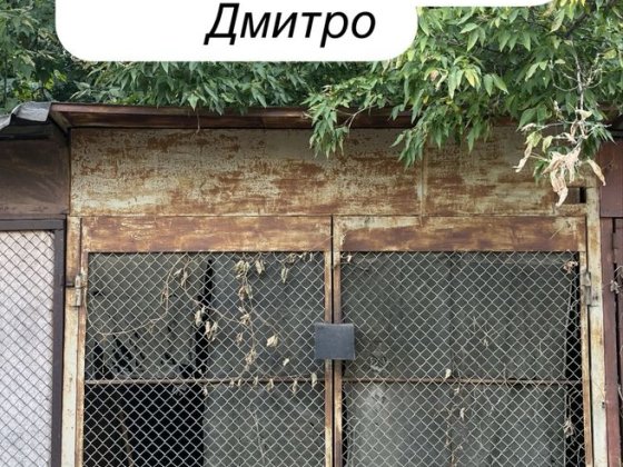 Здається гараж в оренду Киев