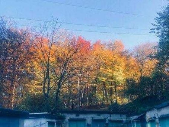 Оренда гараж 20 кв.м вул Олени Теліги 2500грн Львов