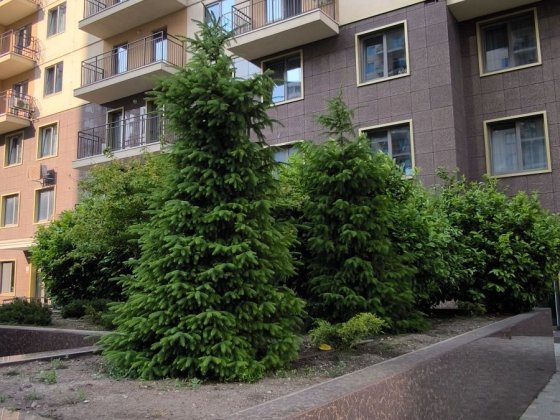 Новый комплекс на Таирова. Лучшая цена.Полноценная 2-шка.Низкий этаж Одеса