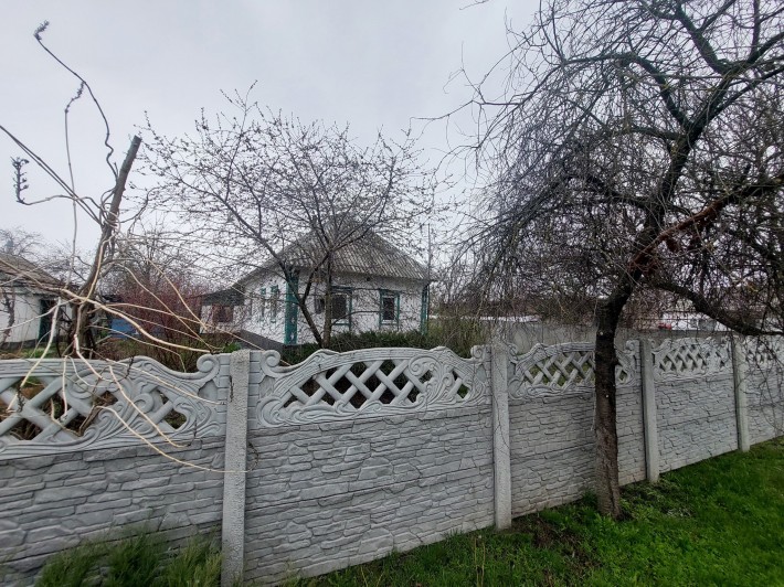 ПРОДАЖА дома в Элизаветовке - фото 1