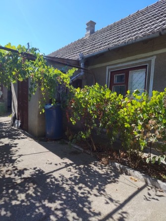 Продам дом на Выпасном - фото 1