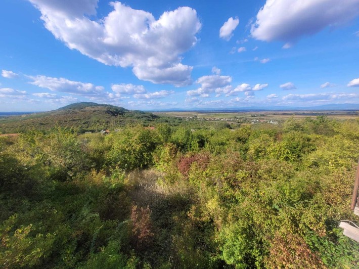 Продається дачний будиночок в Берегові. - фото 1