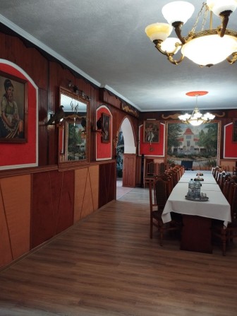 Продам дом Закарпатье Берегово - фото 1