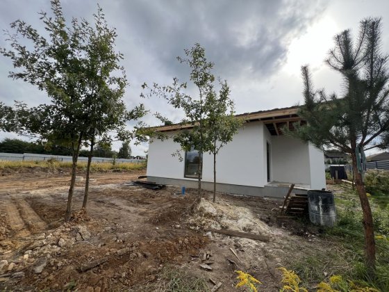 Будинок у с. Нове (біля Боряки)_ділянка_Газ Боярка