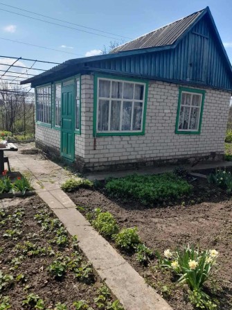 Дача с поливом, р-н Власовка. Торг. - фото 1