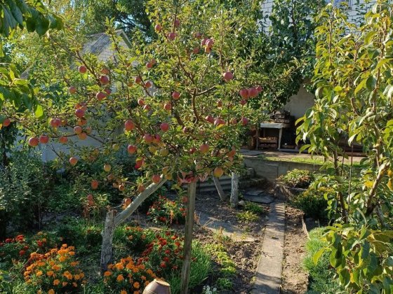 Продам дачу для життя та відпочинку Власовка