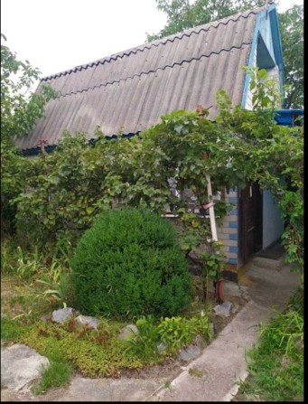 `Продам дачу в кооп. Сади 2 (Власівка), біля Кременчуцького моря. - фото 1