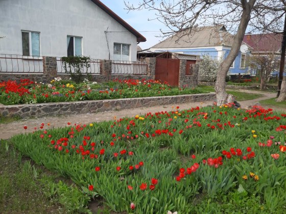 Продається будинок від власника район 4 школи Вознесенськ