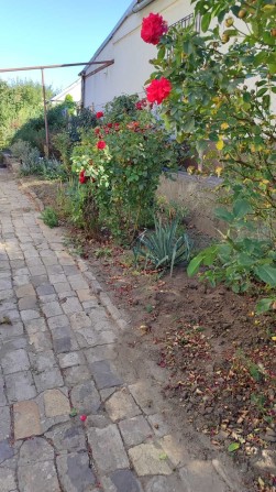 Продам будинок на пр. Маршевий.  Можливо по сертифікату - фото 1