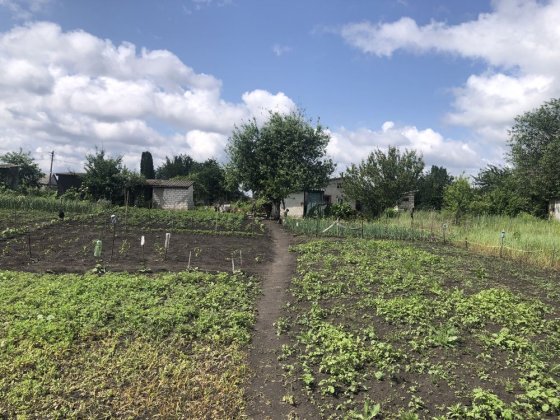 Продам дачу в Кристале Глухів