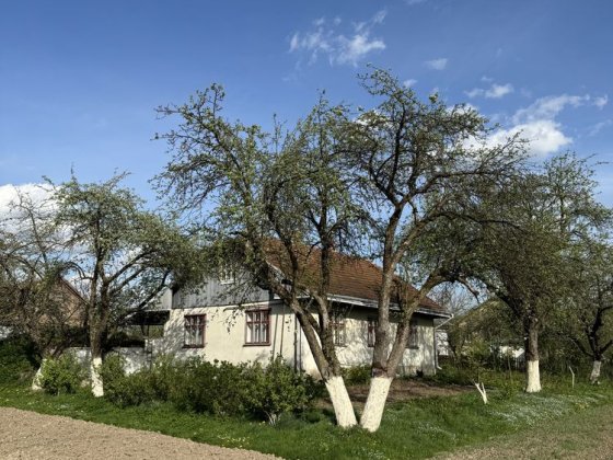 Продаю будинок в житловому стані з доглянутою ділянкою та садом Дрогобыч