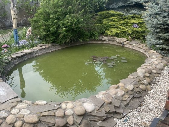 Продаж будинку у Жовтих Водах Жовті Води