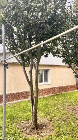 Продам свой дом, отдельно стоящий - фото 1