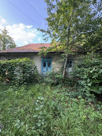 Продається будинок в с.Каштанівка - фото 1