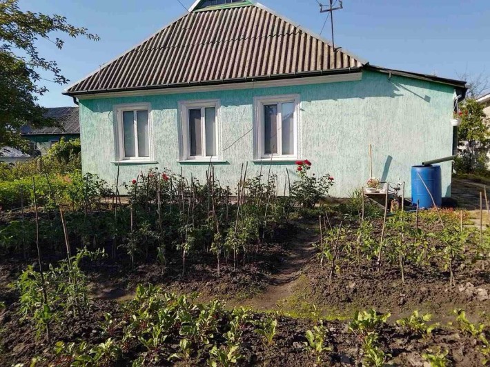 Продається будинок - фото 1