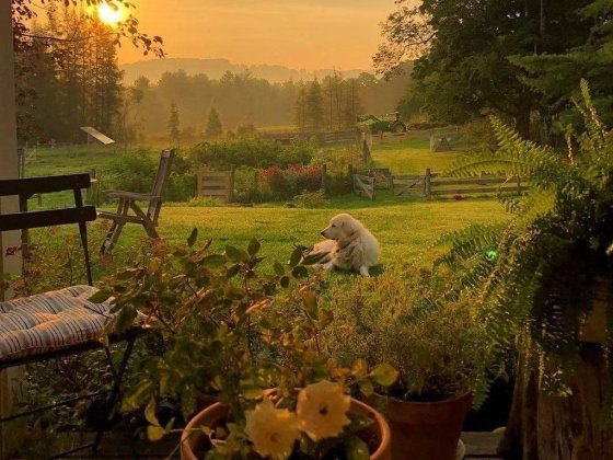 Продам дом Красноградский район Берестин