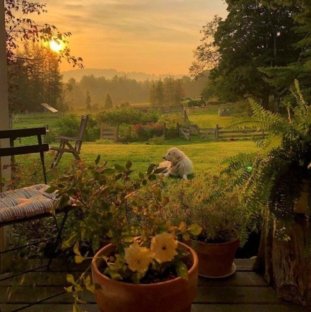 Продам дом Красноградский район - фото 1