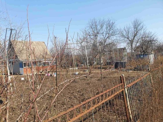 Виноградник в обществе Катеринича (6 линия) Краматорск