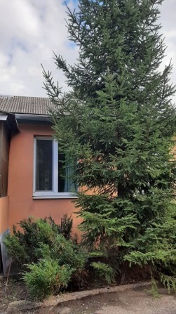 Продаж капітального будинку у центрі м. Мерефа - фото 1