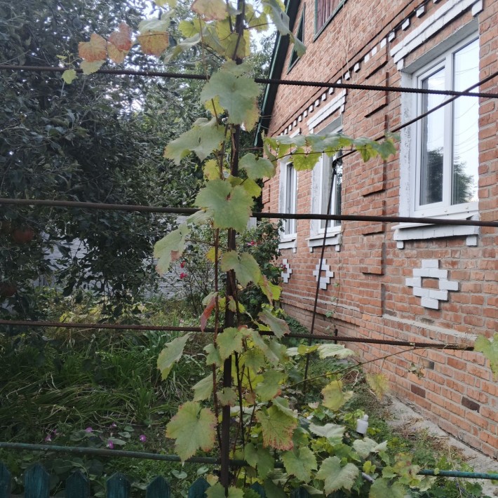 Продаю добротный кирпичный дом в удобном р-не г Мерефа - фото 1