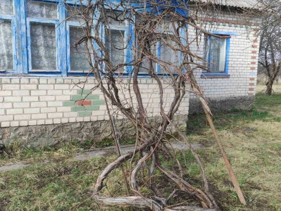 Будинок трикімнатний Звягель