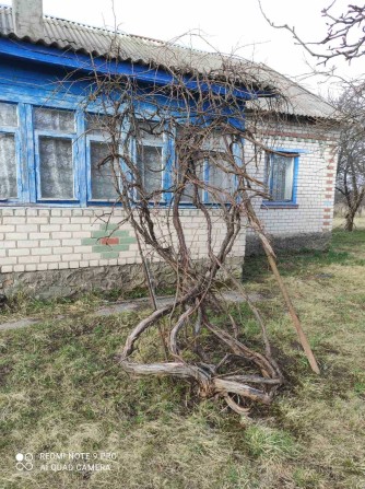 Будинок трикімнатний - фото 1