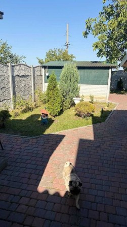 Продається будинок с.Межиріч - фото 1