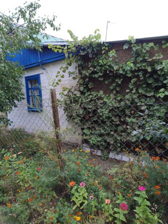 Продам дачу ПЗТО (за медучилищем) - фото 1