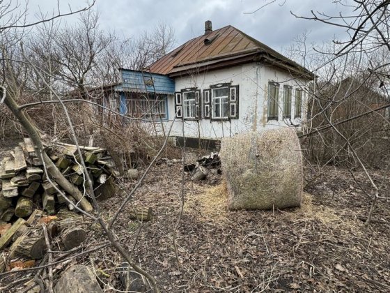 Будинок (дача) в с. Мазки Прилуки