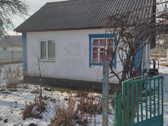 Приватний будинок з територією та Господарськими будівлями Сарни