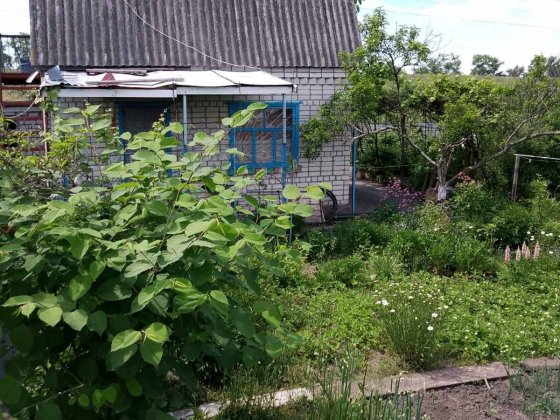 Продам дачу, відразу за ГЕС Светловодск