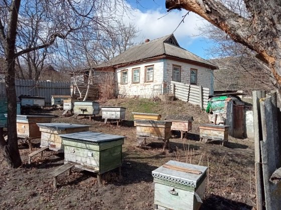 Продаж будинку з пасікою Сміла