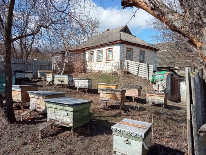 Продаж будинку з пасікою - фото 1