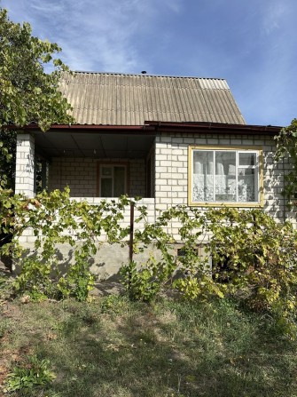 Дача  7км від Сміли в кооперативі « Козареве» - фото 1