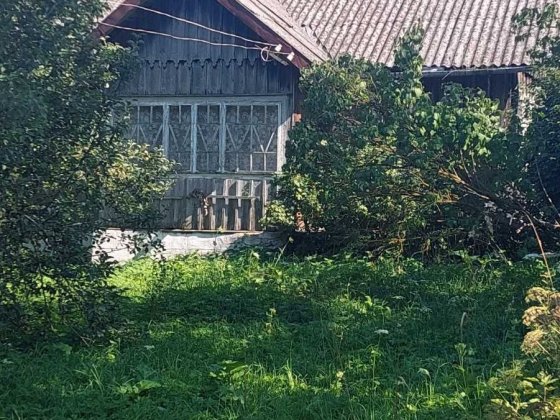 Продам будинок в Карпатах Стрый